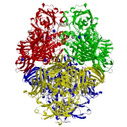 Image of CATH 3vd9