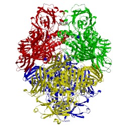 Image of CATH 3vda