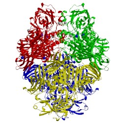 Image of CATH 3vdb