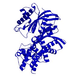 Image of CATH 3vey