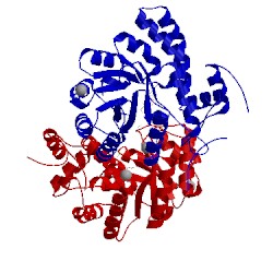 Image of CATH 3vfl