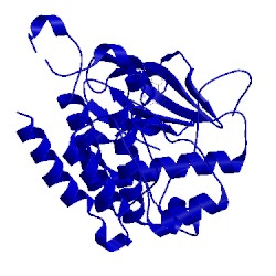 Image of CATH 3vid