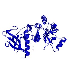 Image of CATH 3vjn