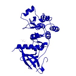 Image of CATH 3vjo