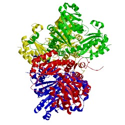 Image of CATH 3vk2