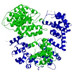 Image of CATH 3vlf