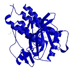 Image of CATH 3vnt