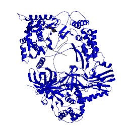 Image of CATH 3vnu