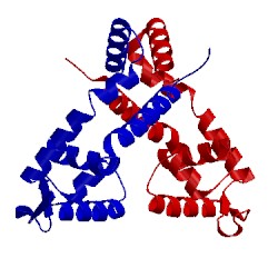 Image of CATH 3vod