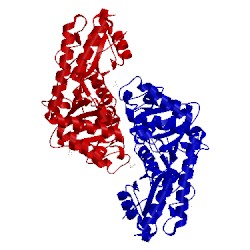 Image of CATH 3vom