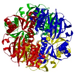 Image of CATH 3vpb