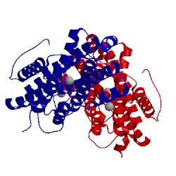 Image of CATH 3vpo