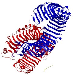 Image of CATH 3vq1