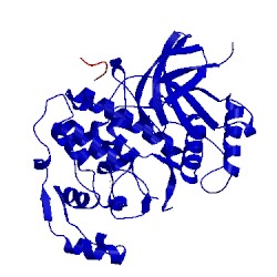 Image of CATH 3vud