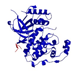 Image of CATH 3vug