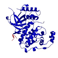 Image of CATH 3vug