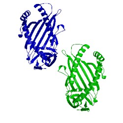 Image of CATH 3vxo