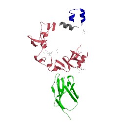 Image of CATH 3w11