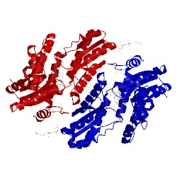 Image of CATH 3w1w