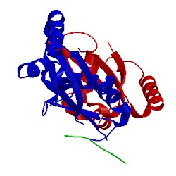 Image of CATH 3w1y