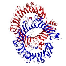 Image of CATH 3w3g