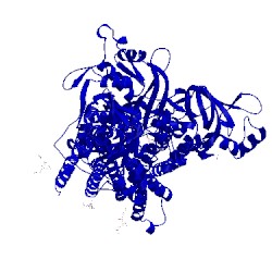 Image of CATH 3w5d