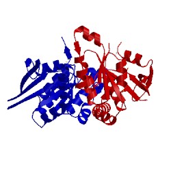 Image of CATH 3w5i