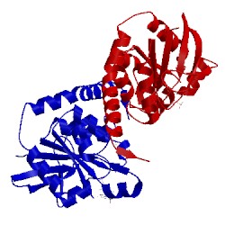 Image of CATH 3w5j