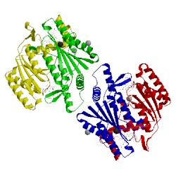 Image of CATH 3w7a