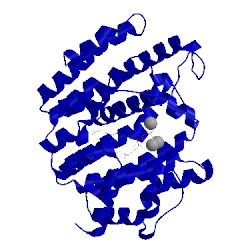 Image of CATH 3wei