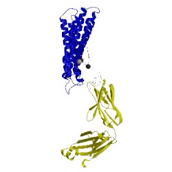 Image of CATH 3wfb