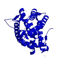 Image of CATH 3wfg