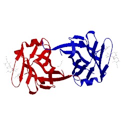Image of CATH 3wg4