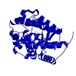 Image of CATH 3wgp