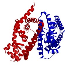 Image of CATH 3wj4