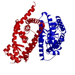 Image of CATH 3wj5