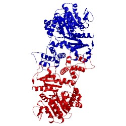 Image of CATH 3wja