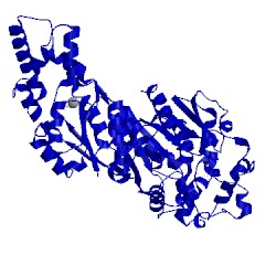 Image of CATH 3wk6