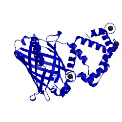 Image of CATH 3wlc