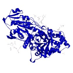 Image of CATH 3wlk