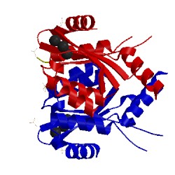 Image of CATH 3wne
