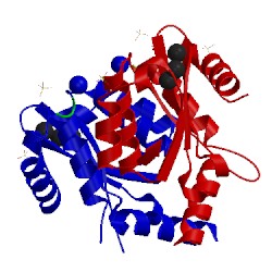 Image of CATH 3wnf