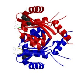 Image of CATH 3wng