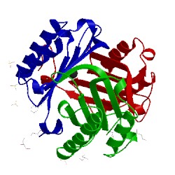 Image of CATH 3wnr