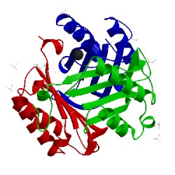 Image of CATH 3wns