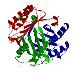 Image of CATH 3wnt