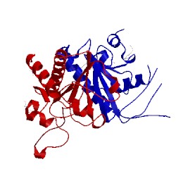 Image of CATH 3wo5