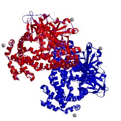 Image of CATH 3wom