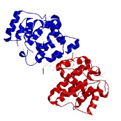 Image of CATH 3wps
