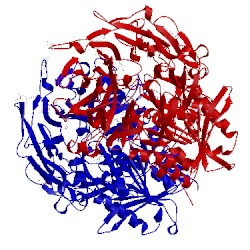 Image of CATH 3wqh